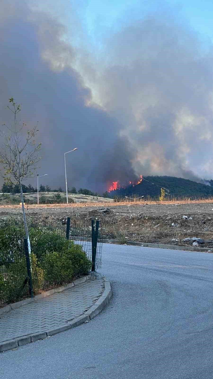 Bursa'da orman yangını!