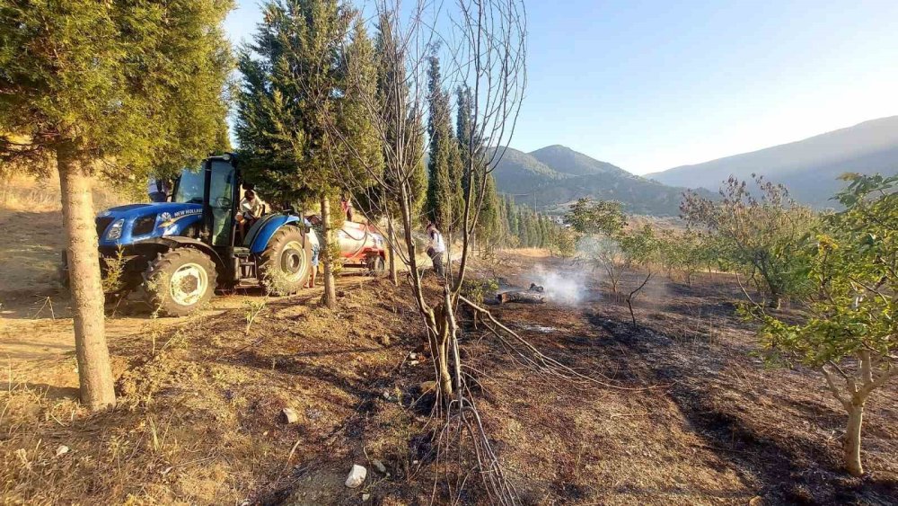 Çıkan Orman Yangını Kontrol Altına Alındı