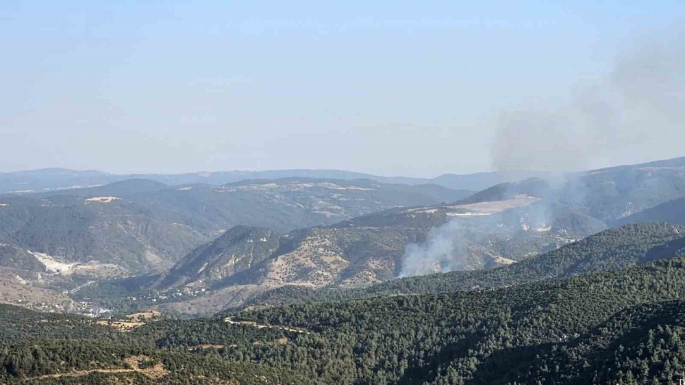 Çıkan Orman Yangını Kontrol Altına Alındı