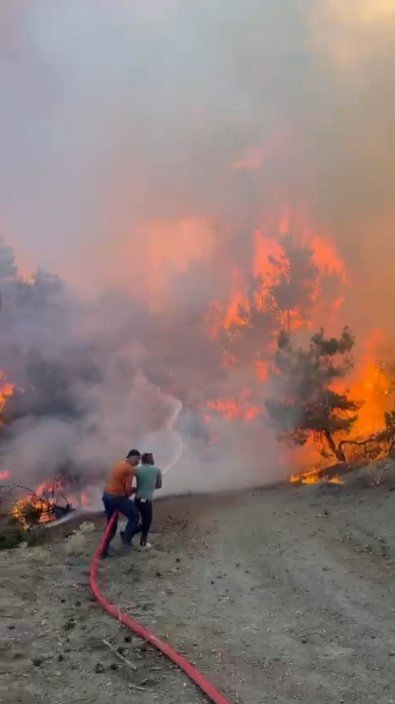Orman Yangınları Büyüyor