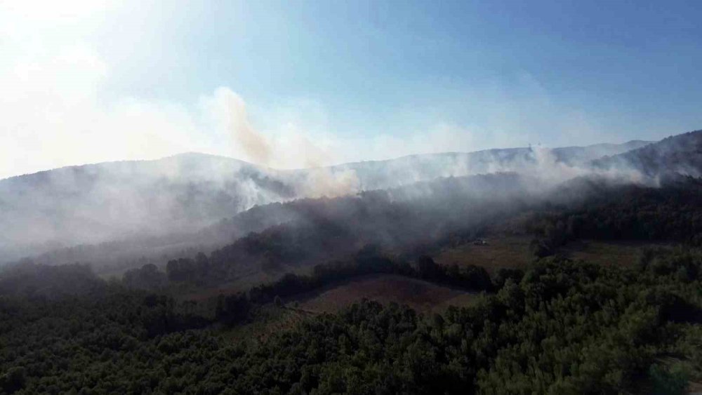 Yangın Bölgesi Havadan Görüntülendi
