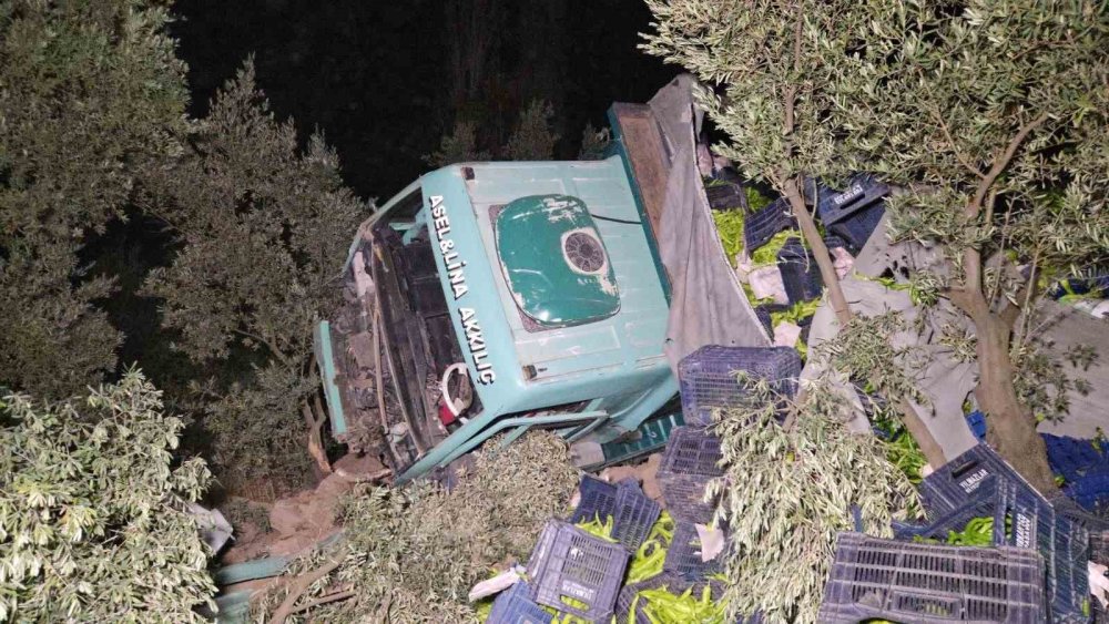 Biber Yüklü Kamyon Zeytinliğe Uçtu: 1 Yaralı