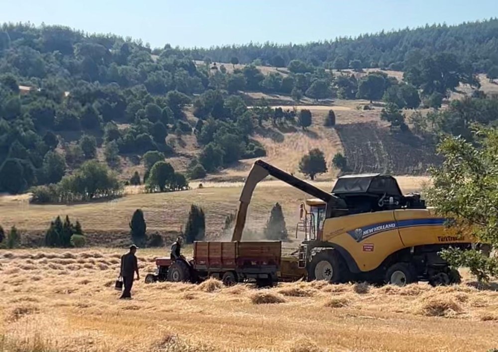 Çiftçiler Emeklerinin Karşılığını Almanın Heyecanını Yaşıyor