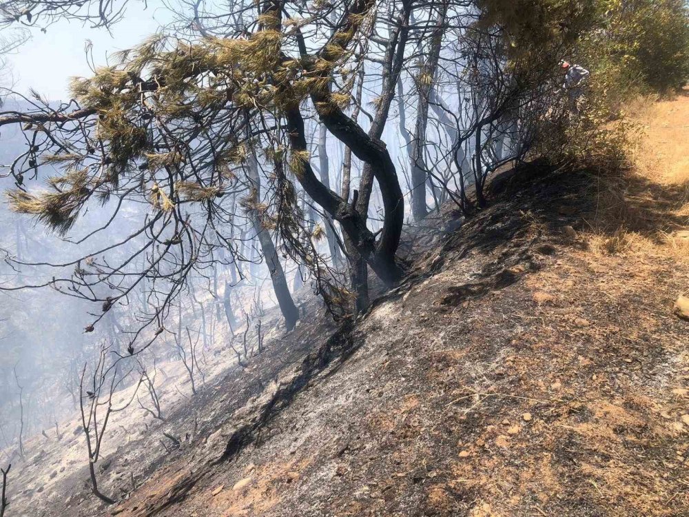 Orman Yangını Ekipler Tarafından Söndürüldü