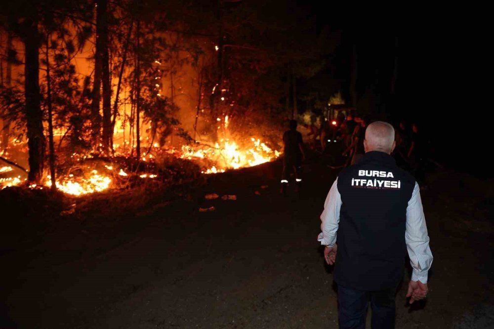 Yangınla İlgili 03 Plakalı Araçtaki 2 Kişi Yakalandı