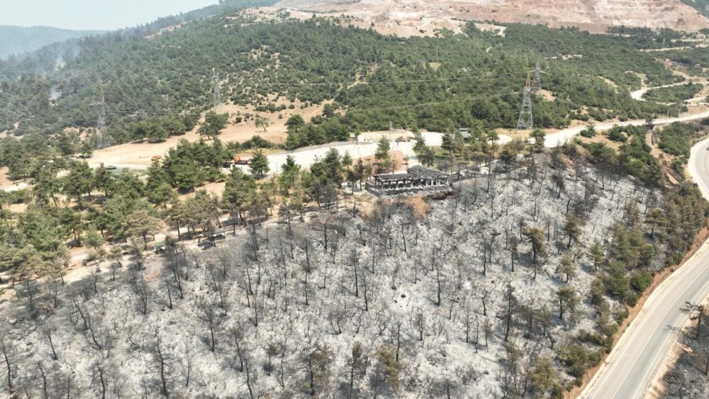 Tarihinin En Büyük Yangınından Yürek Burkan Bu Manzaralar Kaldı
