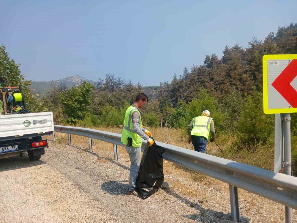 Yangın Bölgelerinde Çevre Temizliği