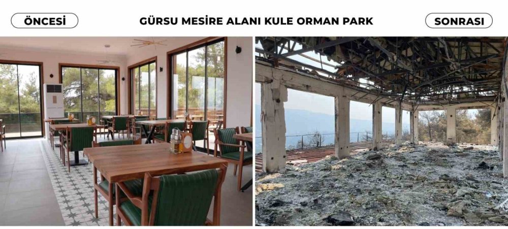 Böyleydi Böyle Oldu