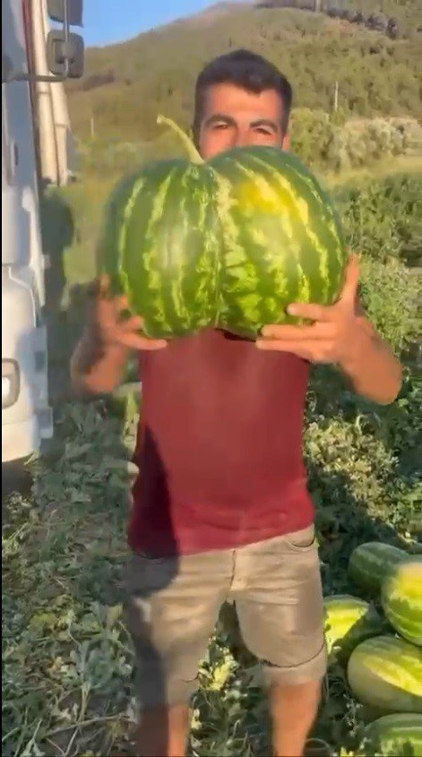 İkiz Kavun Ve Karpuz Görenleri Hayrete Düşürdü
