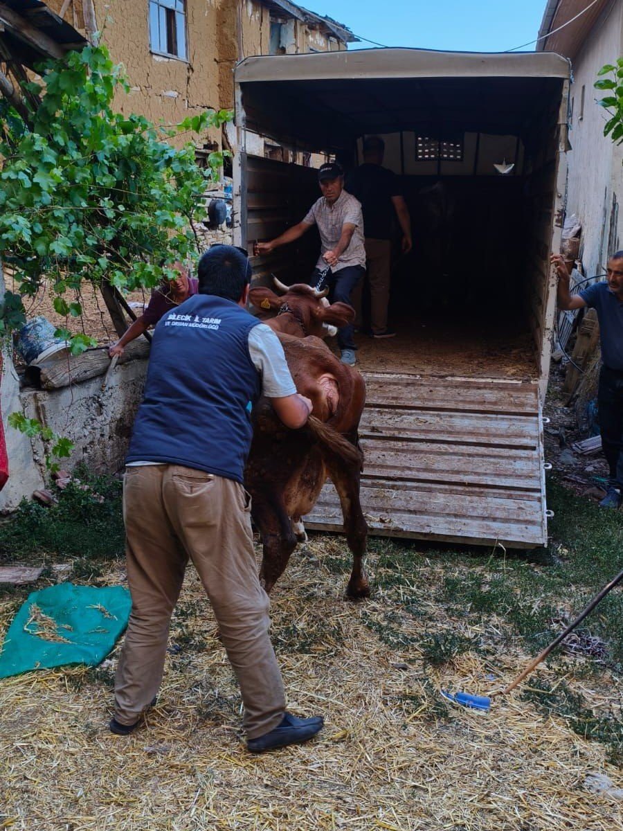 Tarım Müdürlüğü Ekipleri Yangın Sonrası Üreticilerin Yanında