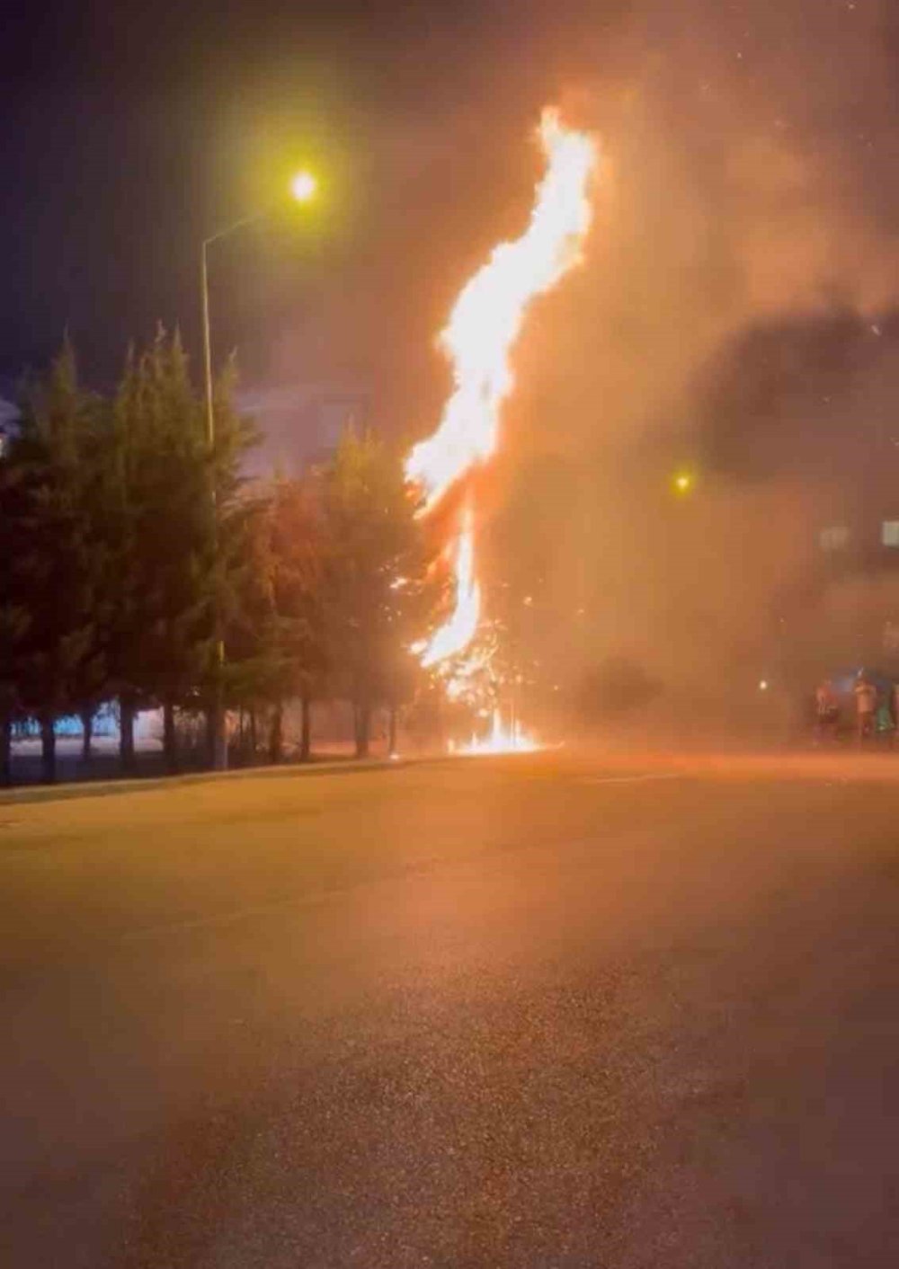 Çocukların Torpille Oyunu Ağaçlık Alanı Tutuşturdu!
