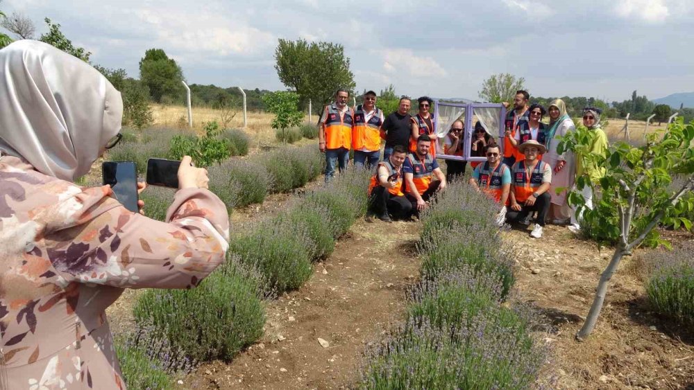 Afad Gönüllüleri Lavanta Bahçesinden Çevreye Duyarlılık Mesajı Verdi