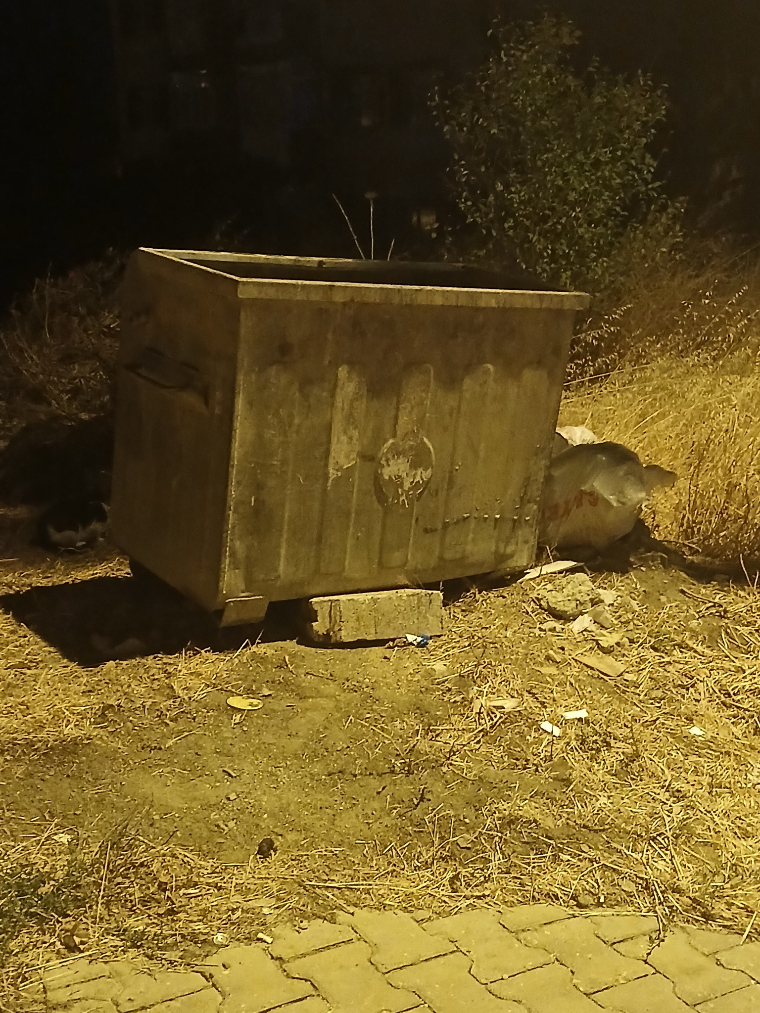 muhtardan-cop-konteyneri-tepkisi.jpg