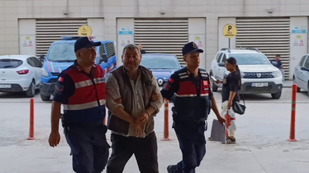 Evde Kenevir Yetiştiren Şahısları Jandarma Yakaladı