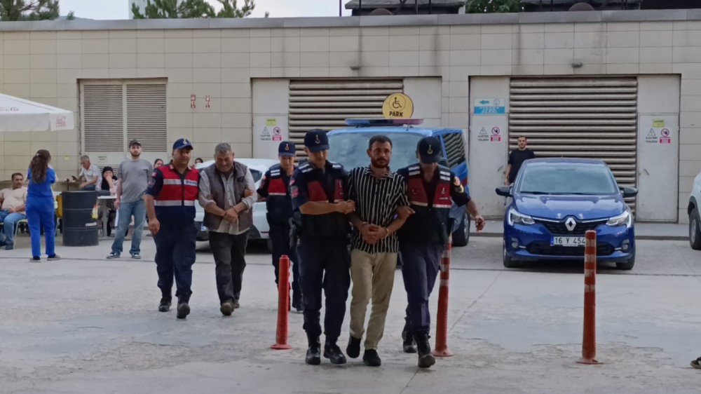 Evde Kenevir Yetiştiren Şahısları Jandarma Yakaladı