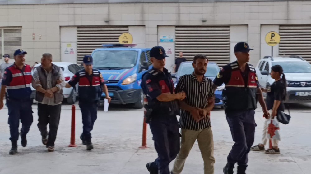 Evde Kenevir Yetiştiren Şahısları Jandarma Yakaladı