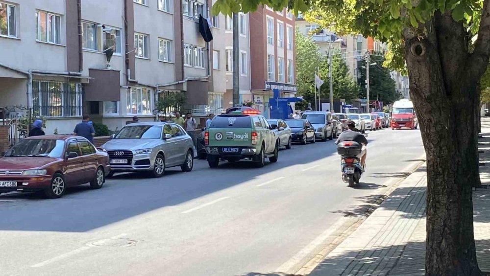 Polis Ekipleri Kedi Ölümleriyle İlgili Çalışma Başlattı