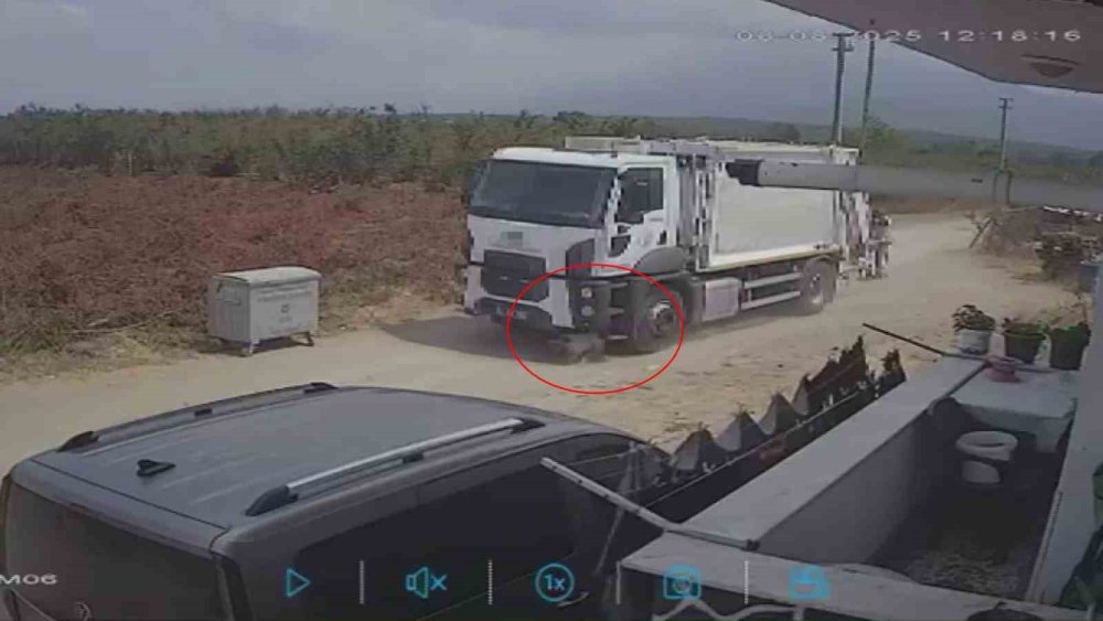 Oyun Oynarken Yola Fırlayan İki Köpek Çöp Kamyonunun Altında Kaldı