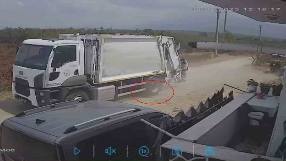 Oyun Oynarken Yola Fırlayan İki Köpek Çöp Kamyonunun Altında Kaldı