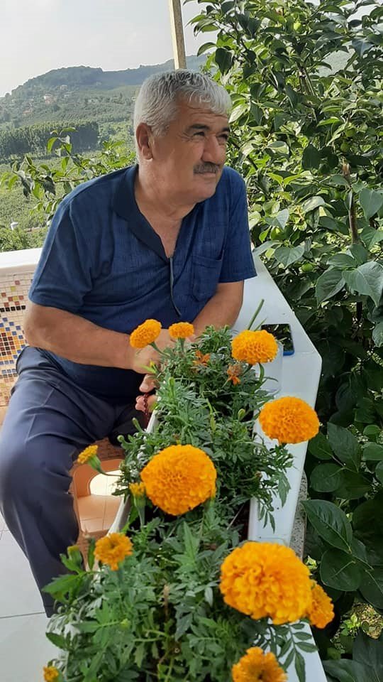 Çıktığı erik ağacından düşen 72 yaşındaki şahıs hayatını kaybetti