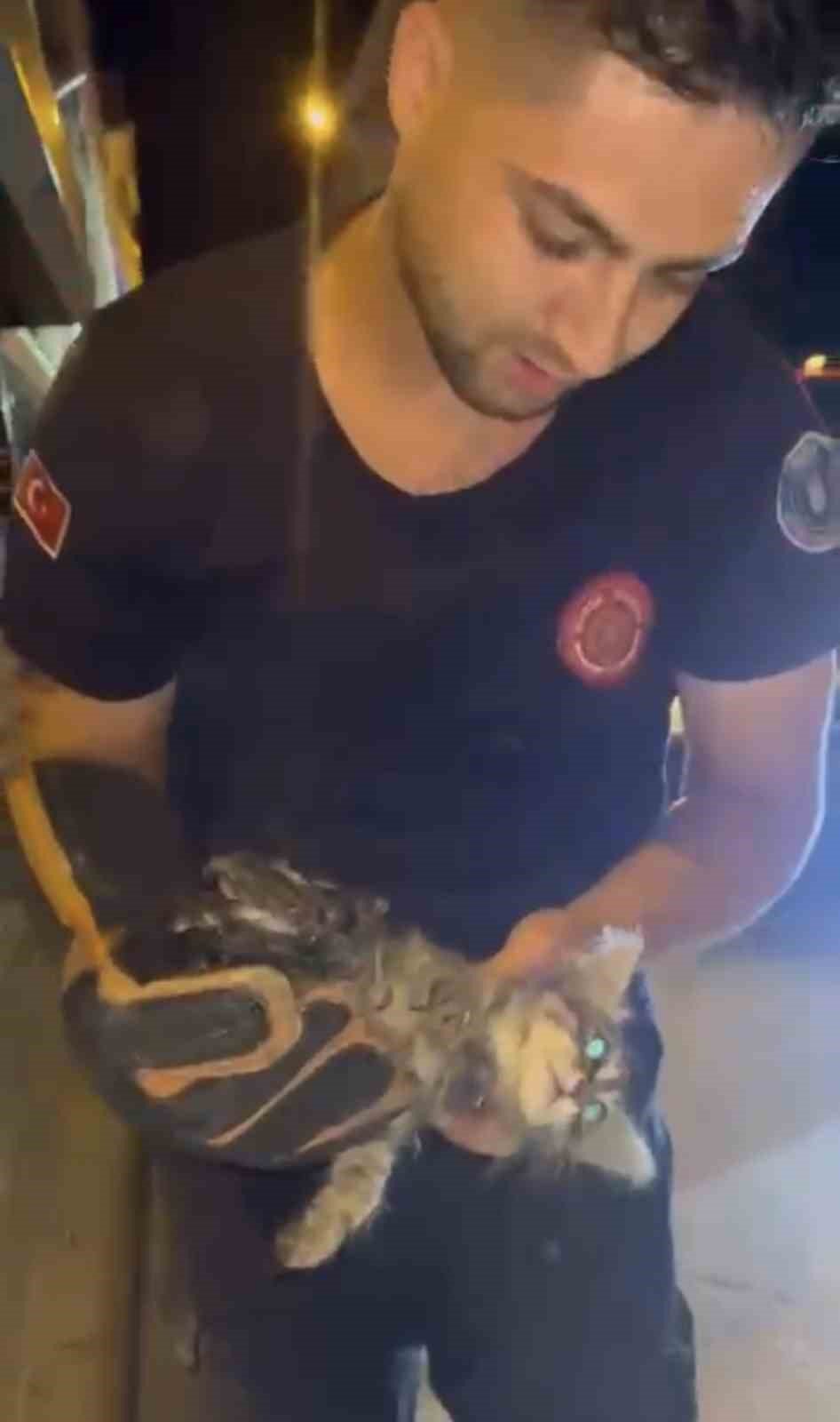 Kanalizasyonda Mahsur Kalan Kedi Kurtarıldı