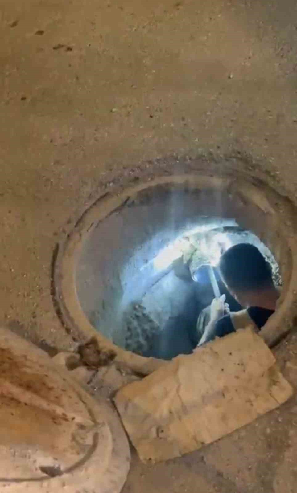 Kanalizasyonda Mahsur Kalan Kedi Kurtarıldı