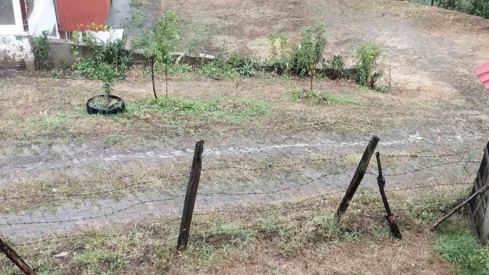 Şehir Sıcaktan Kavrulurken Yaylada Yağmur Serinletti