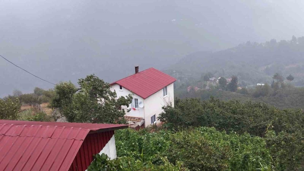 Şehir Sıcaktan Kavrulurken Yaylada Yağmur Serinletti