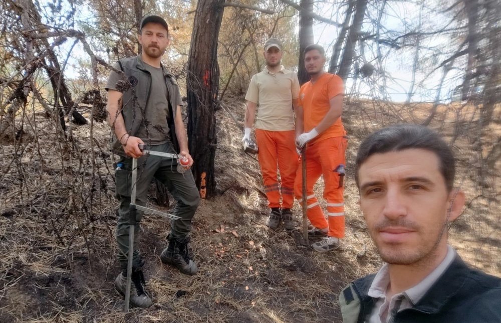 Yanan Ormanlık Alanlar Tekrar Hayata Dönüyor
