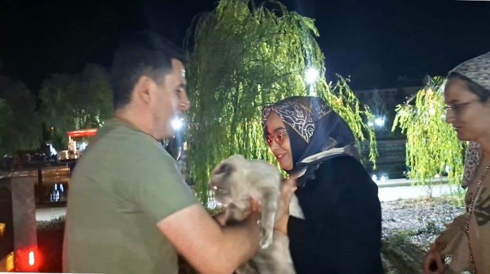Ağaçta Mahsur Kalan Kedi İtfaiye Ekipleri Tarafından Kurtarıldı