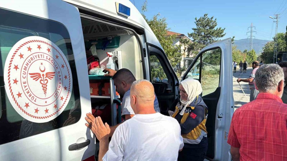 Yerleşim Alanına Yakın Ormanlık Alanda Korkutan Yangın