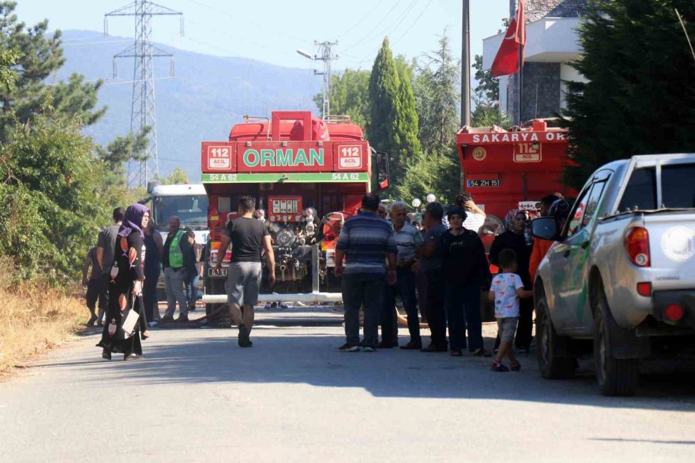 Yerleşim Alanına Yakın Ormanlık Alanda Korkutan Yangın