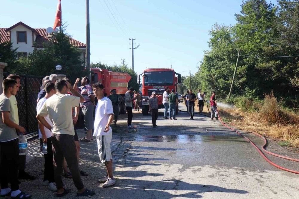 Yerleşim Alanına Yakın Ormanlık Alanda Korkutan Yangın
