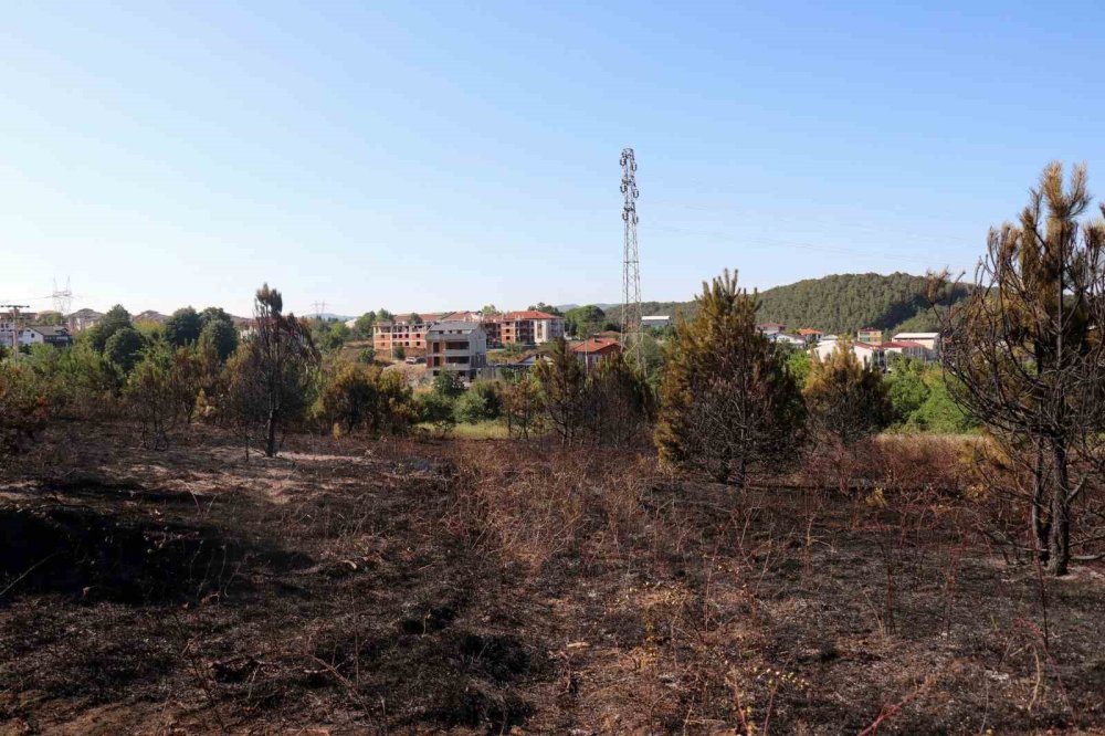 Yerleşim Alanına Yakın Ormanlık Alanda Korkutan Yangın