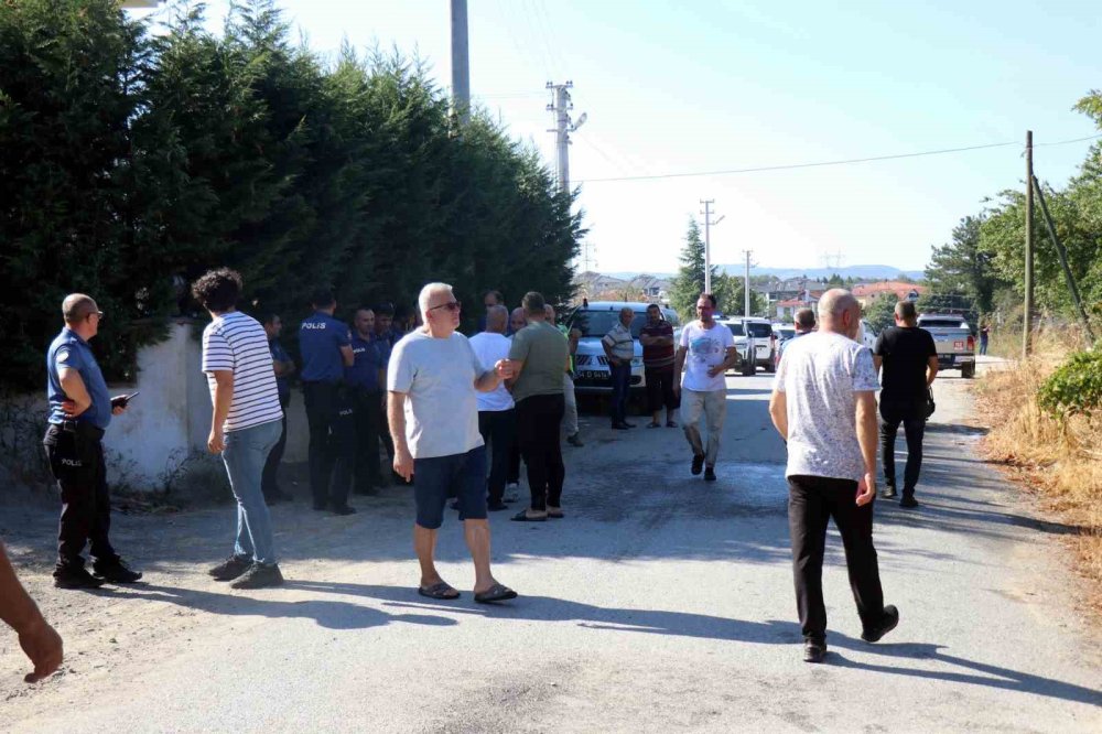 Yerleşim Alanına Yakın Ormanlık Alanda Korkutan Yangın