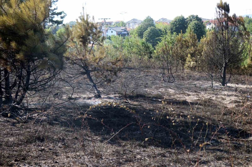 Yerleşim Alanına Yakın Ormanlık Alanda Korkutan Yangın