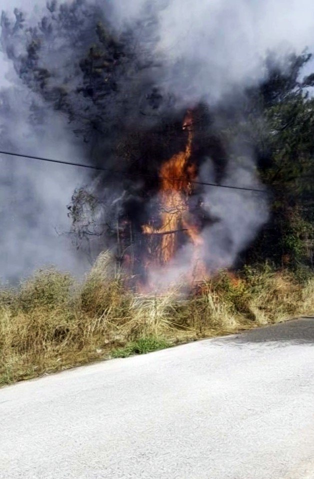 Yerleşim Alanına Yakın Ormanlık Alanda Korkutan Yangın