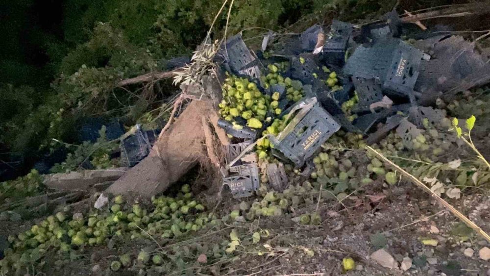 Kontrolden Çıkan Kamyon Şarampole Yuvarlandı: 3 Yaralı