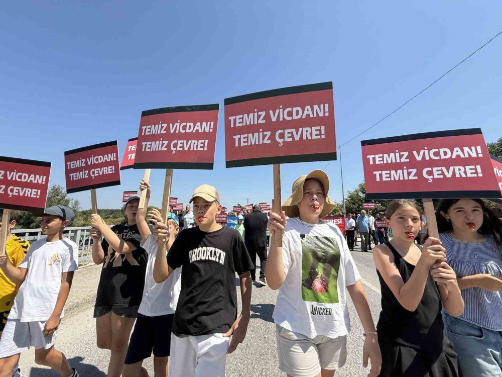 Dereyi Kirleten Firmanın Faaliyeti Durduruldu