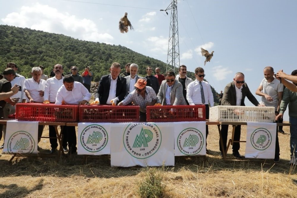 300 Keklik Doğaya Salındı