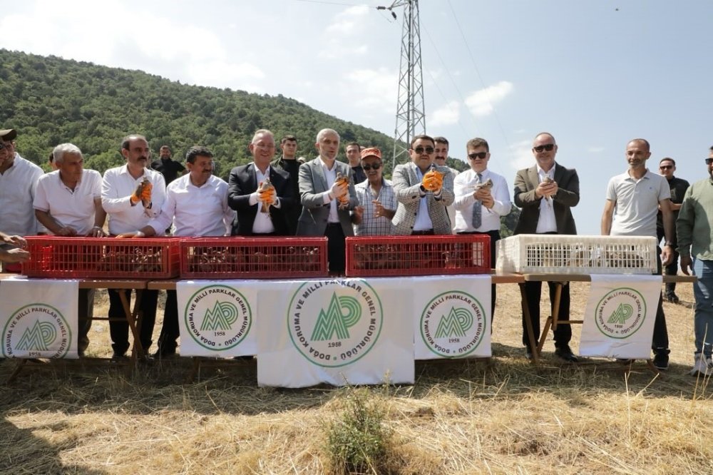 300 Keklik Doğaya Salındı