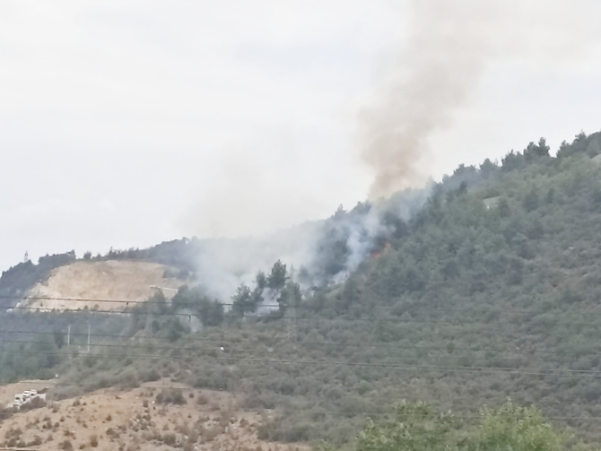 bayirkoyde-orman-yangini1.jpg