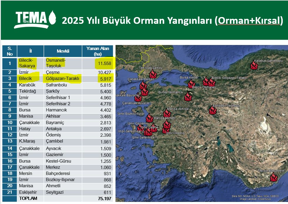 orman-yanginlarinin-en-buyugu-bilecik.jpg