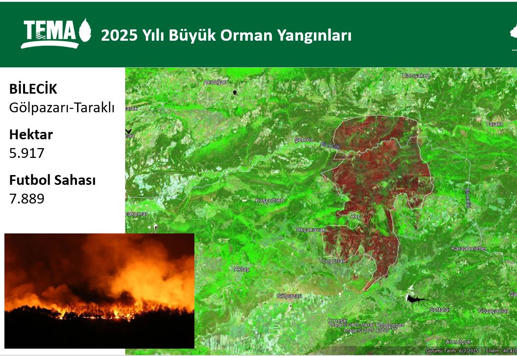 orman-yanginlarinin-en-buyugu-bilecik1.jpg