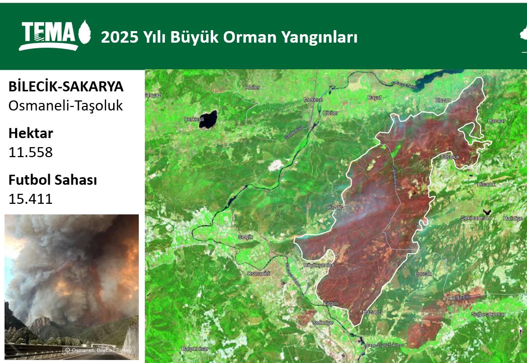 orman-yanginlarinin-en-buyugu-bilecik2.jpg