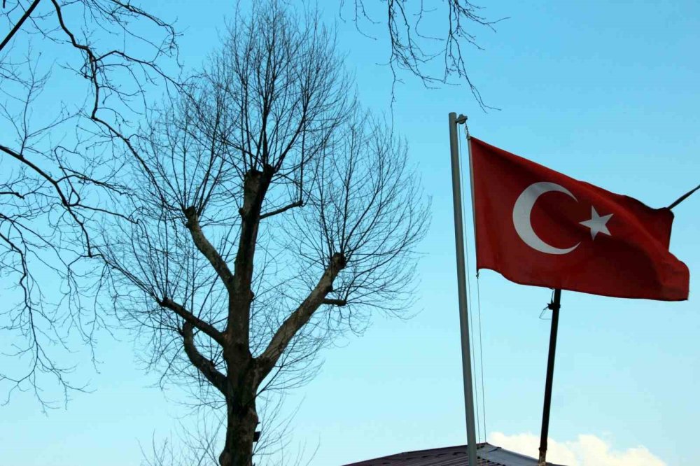 Asırlık Çınar Ağaçları Kuruyor