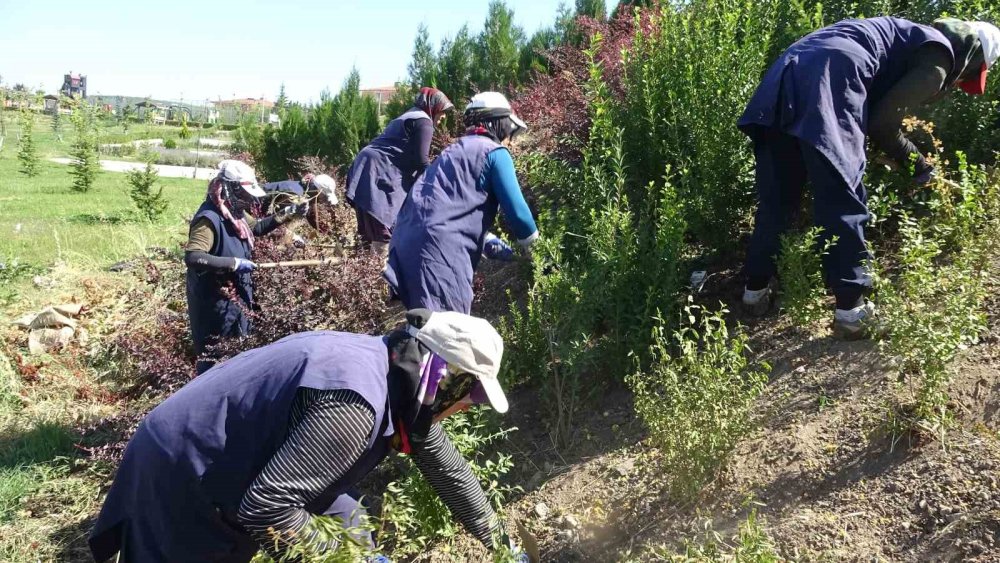 Kadın İşçilerin Sıcağa Karşı Mücadelesi