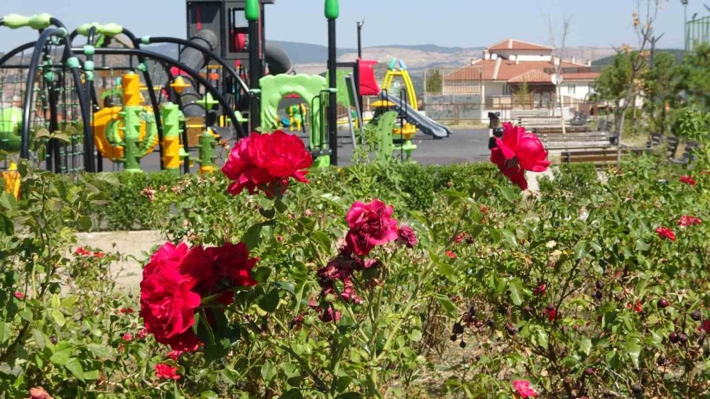 Kadın İşçilerin Sıcağa Karşı Mücadelesi