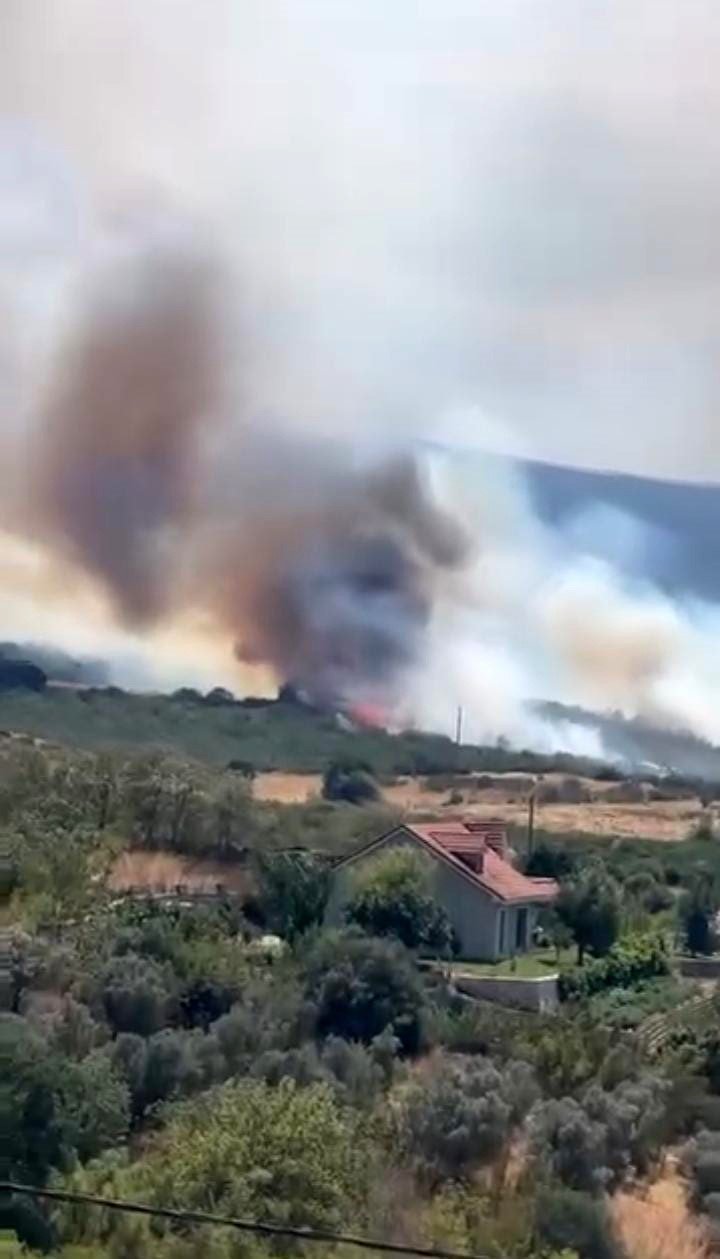 Orman Yangını, Çok Sayıda Ekip Müdahale Ediyor