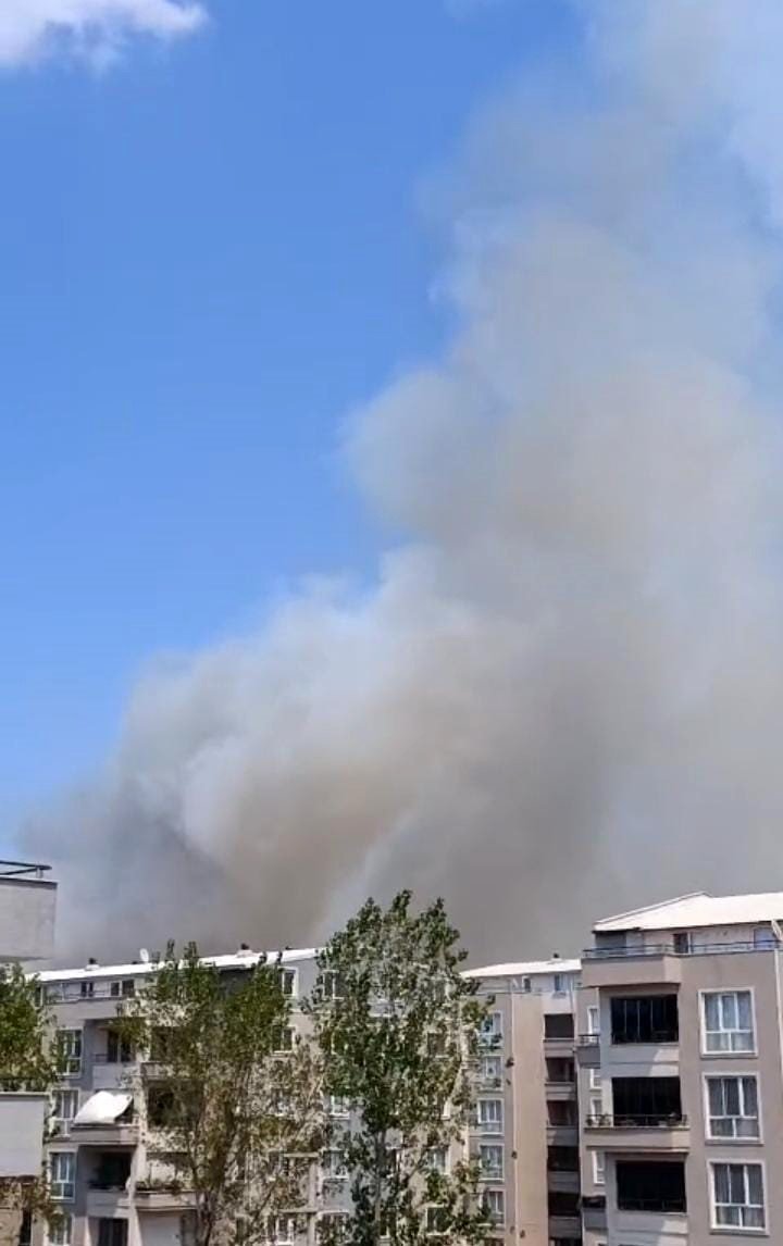 Orman Yangını, Çok Sayıda Ekip Müdahale Ediyor